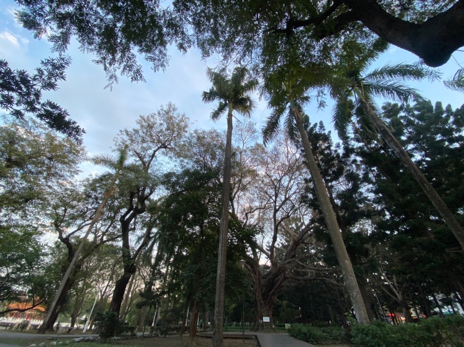 台南景點 | 台南公園